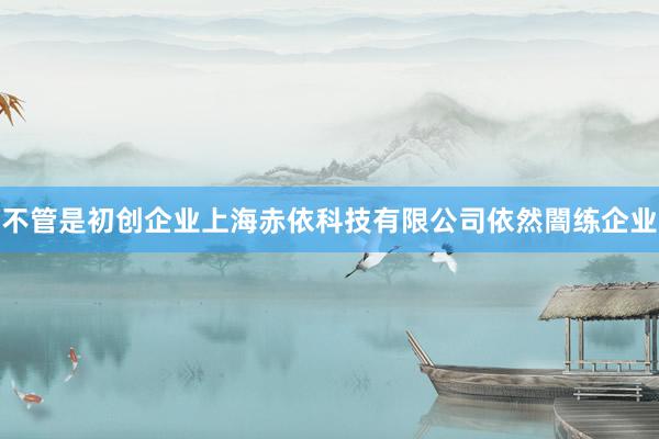 不管是初创企业上海赤依科技有限公司依然闇练企业