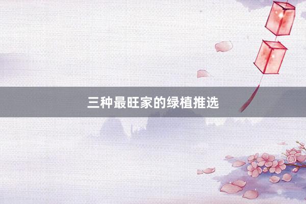 三种最旺家的绿植推选