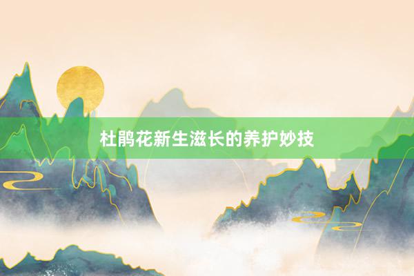 杜鹃花新生滋长的养护妙技